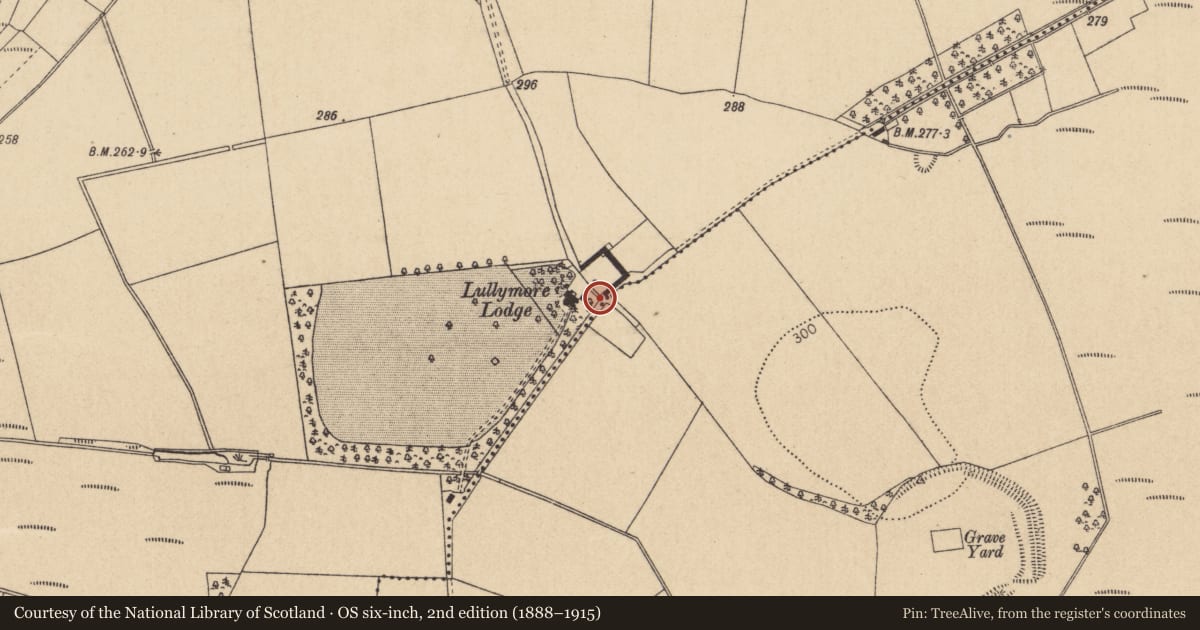 Ordnance Survey six-inch map, 2nd edition (1888–1915) covering the location of Cross-inscribed stone (present location), Lullymore West, County Kildare, with a pin at the register's coordinates