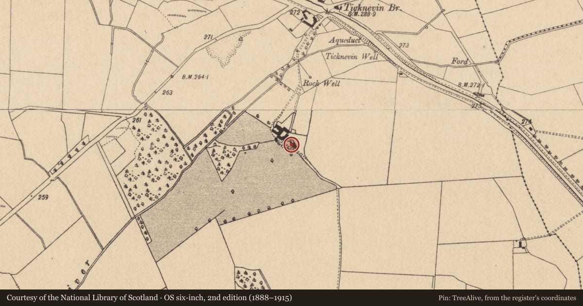 Ordnance Survey six-inch map, 2nd edition (1888–1915) covering the location of Graveyard, Ticknevin, County Kildare, with a pin at the register's coordinates