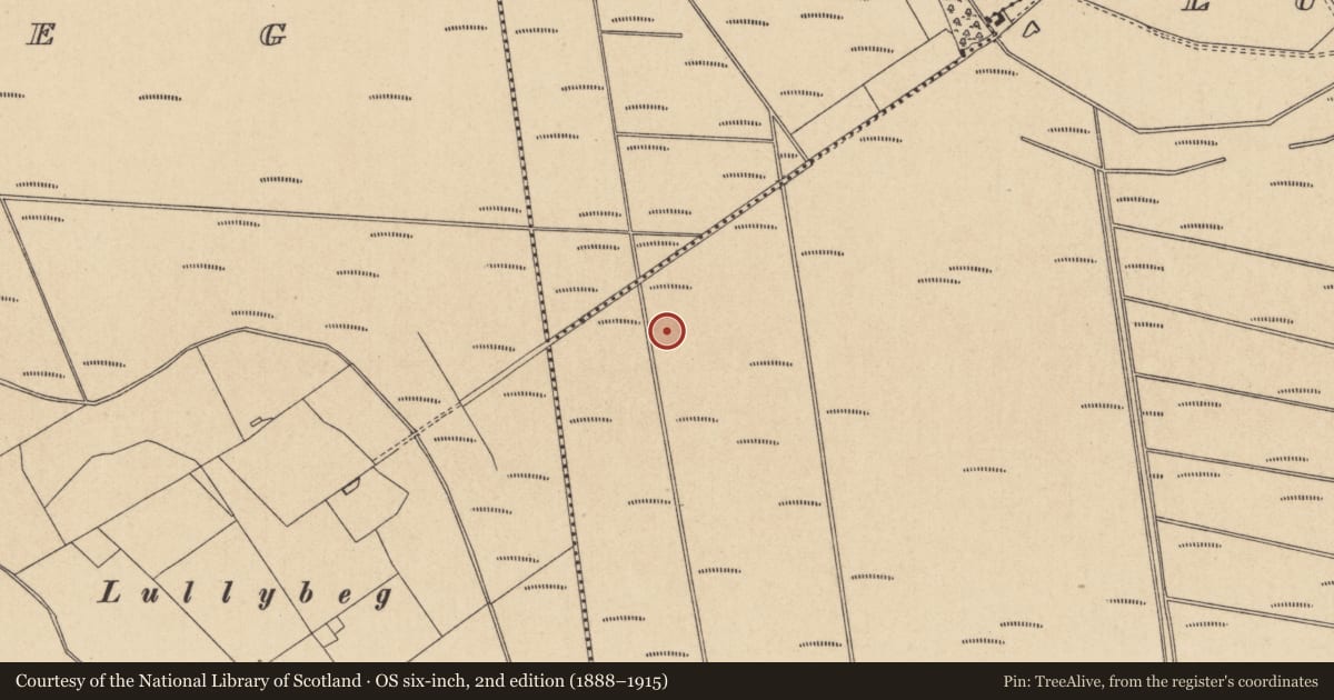 Ordnance Survey six-inch map, 2nd edition (1888–1915) covering the location of Road - class 1 togher, Lullybeg, Lullymore East, County Kildare, with a pin at the register's coordinates