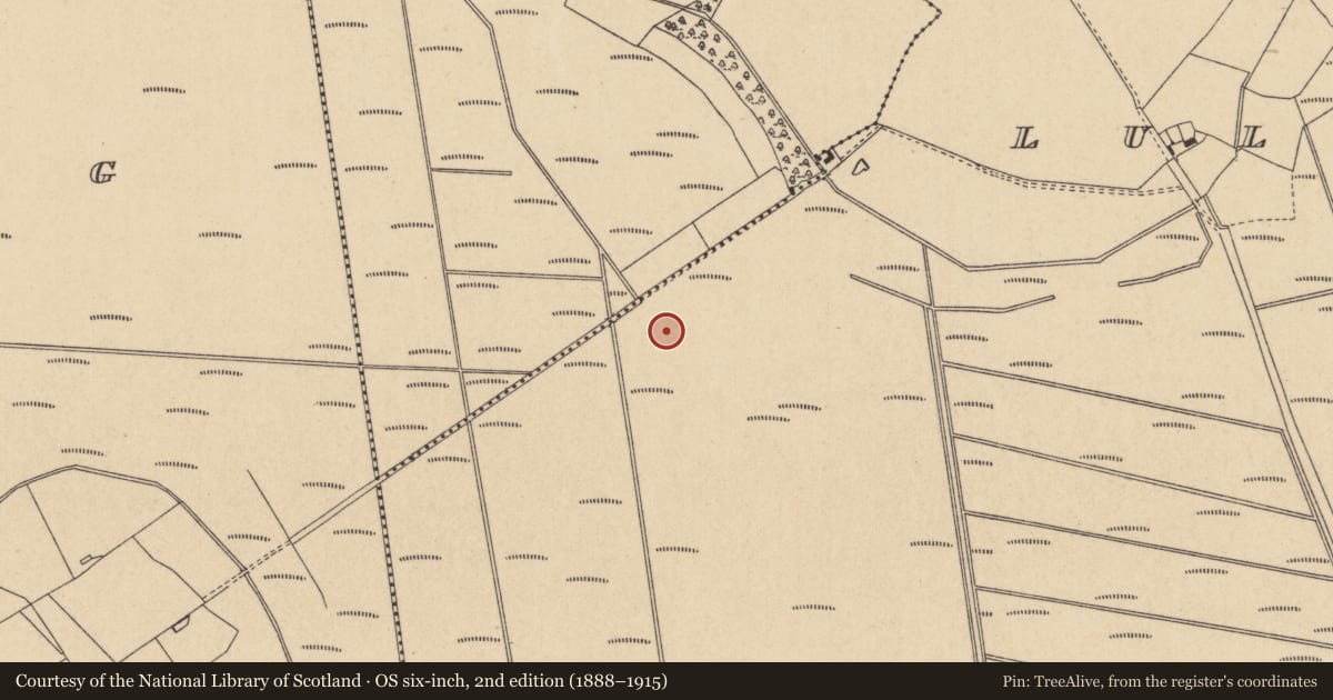 Ordnance Survey six-inch map, 2nd edition (1888–1915) covering the location of Road - class 1 togher, Lullymore East, County Kildare, with a pin at the register's coordinates