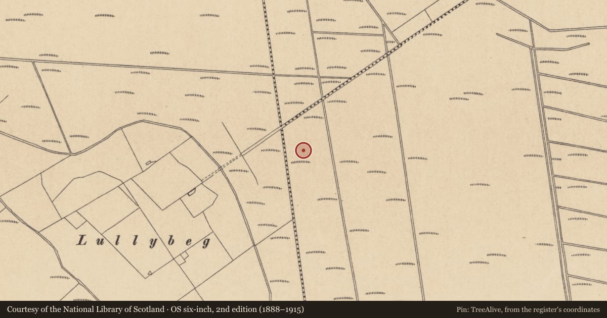 Ordnance Survey six-inch map, 2nd edition (1888–1915) covering the location of Road - class 1 togher, Lullymore East, County Kildare, with a pin at the register's coordinates