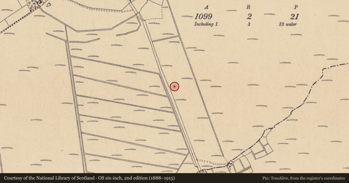 Ordnance Survey six-inch map, 2nd edition (1888–1915) covering the location of Road - gravel/stone trackway - peatland, Lullymore East, County Kildare, with a pin at the register's coordinates
