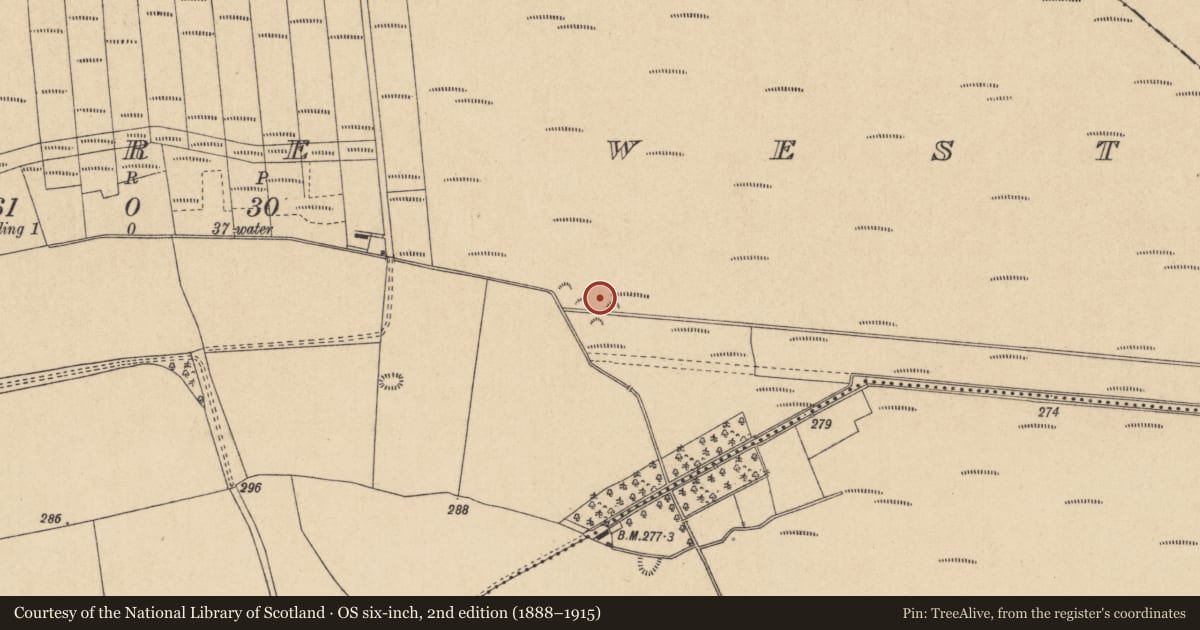 Ordnance Survey six-inch map, 2nd edition (1888–1915) covering the location of Road - gravel/stone trackway - peatland, Lullymore West, County Kildare, with a pin at the register's coordinates
