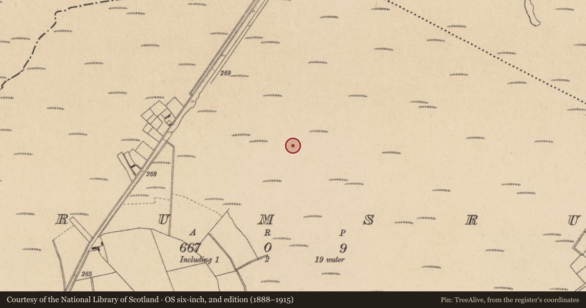 Ordnance Survey six-inch map, 2nd edition (1888–1915) covering the location of Structure - peatland, Drumsru, County Kildare, with a pin at the register's coordinates