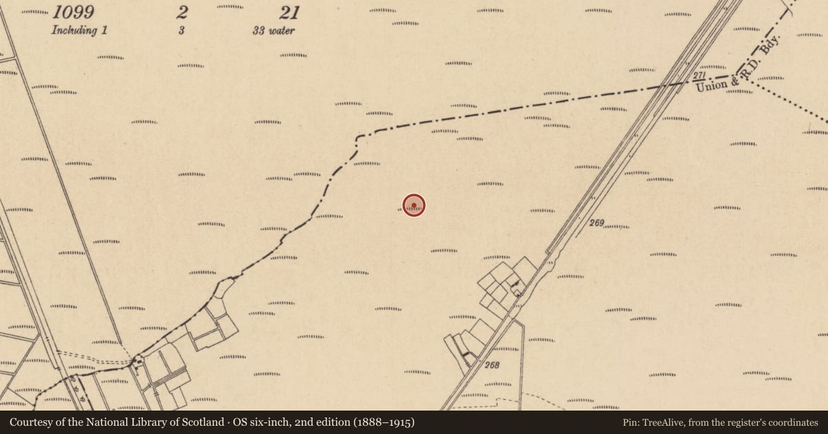 Ordnance Survey six-inch map, 2nd edition (1888–1915) covering the location of Platform - peatland, Drumsru, County Kildare, with a pin at the register's coordinates