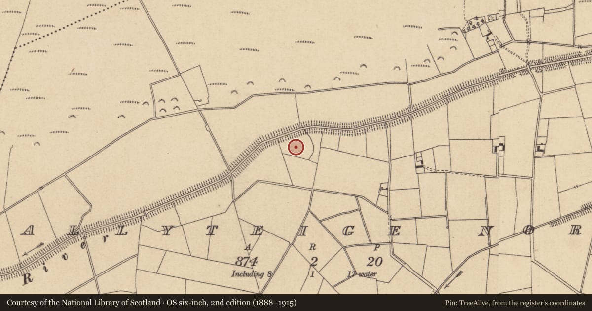 Ordnance Survey six-inch map, 2nd edition (1888–1915) covering the location of Enclosure, Ballyteige North, County Kildare, with a pin at the register's coordinates