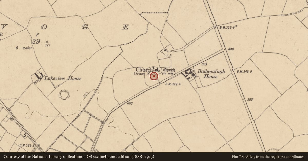 Ordnance Survey six-inch map, 2nd edition (1888–1915) covering the location of Graveyard, Ballynafagh, County Kildare, with a pin at the register's coordinates