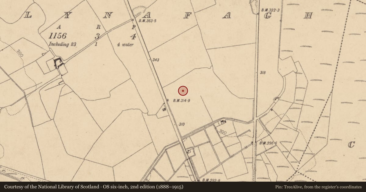 Ordnance Survey six-inch map, 2nd edition (1888–1915) covering the location of Ringfort - rath, Ballynafagh, County Kildare, with a pin at the register's coordinates
