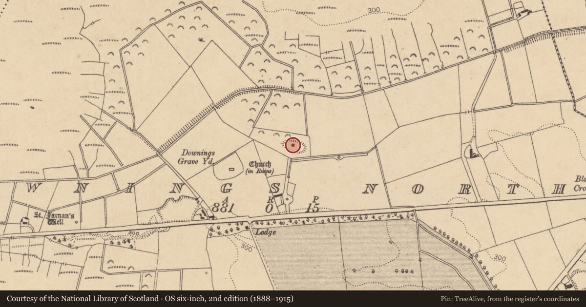 Ordnance Survey six-inch map, 2nd edition (1888–1915) covering the location of Ringfort - rath, Downings North, County Kildare, with a pin at the register's coordinates