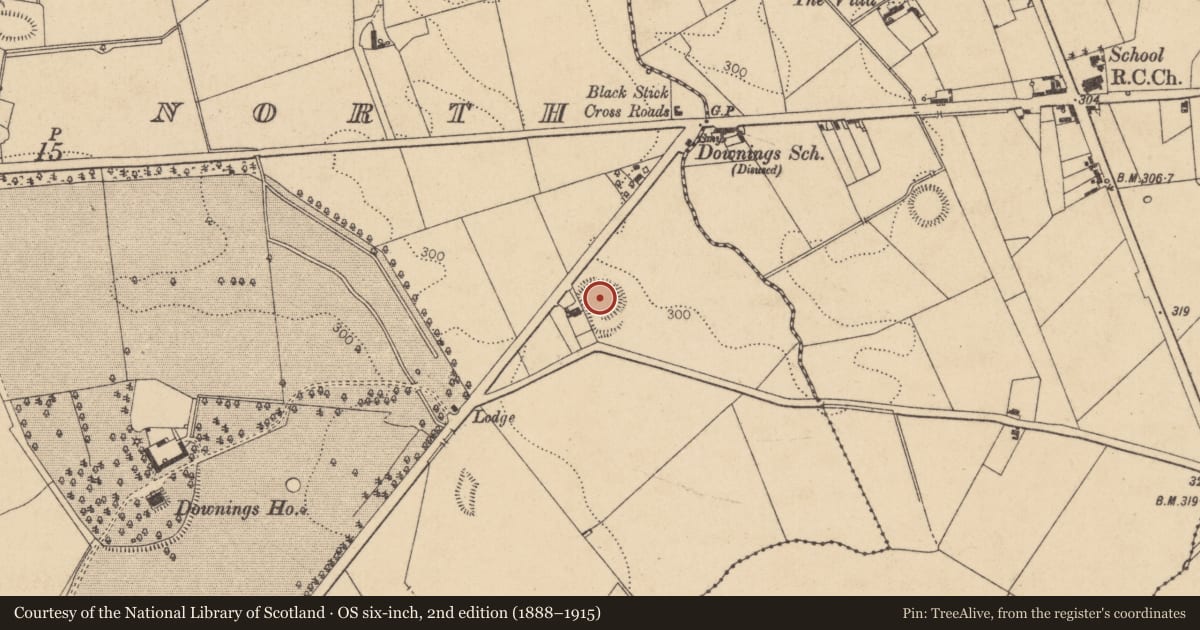 Ordnance Survey six-inch map, 2nd edition (1888–1915) covering the location of Ringfort - rath, Downings North, County Kildare, with a pin at the register's coordinates