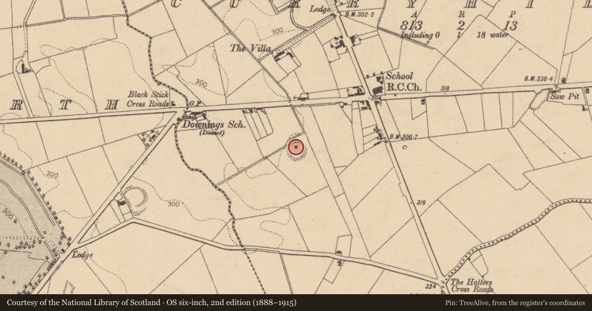 Ordnance Survey six-inch map, 2nd edition (1888–1915) covering the location of Ringfort - rath, Curryhills, County Kildare, with a pin at the register's coordinates