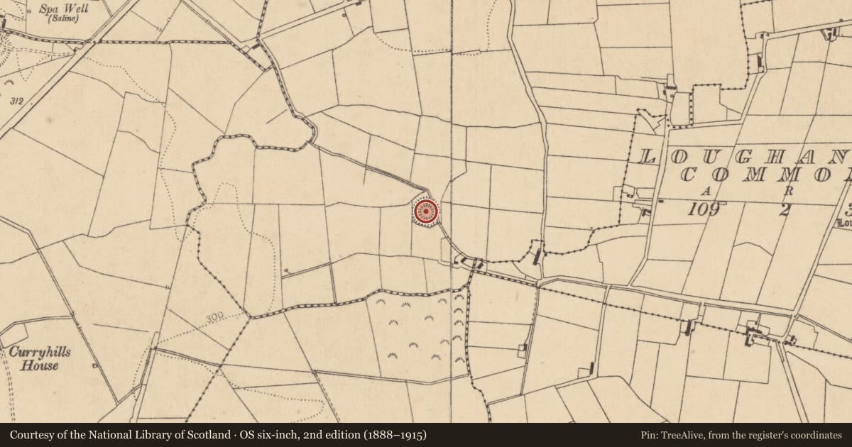 Ordnance Survey six-inch map, 2nd edition (1888–1915) covering the location of Moated site, Ballynagappagh, County Kildare, with a pin at the register's coordinates