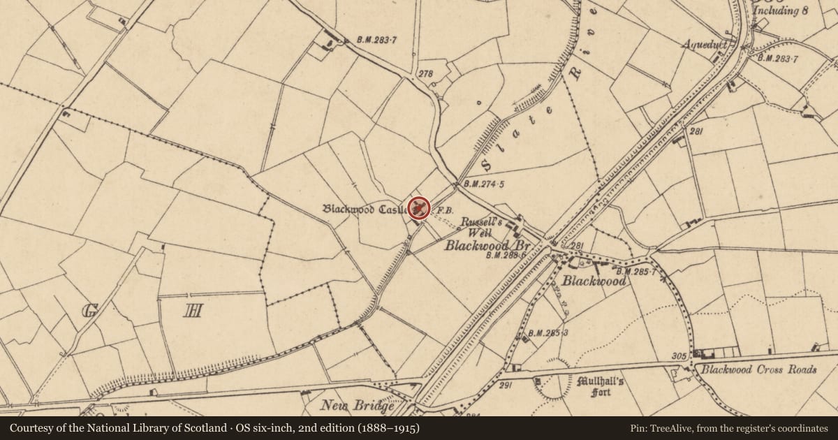 Ordnance Survey six-inch map, 2nd edition (1888–1915) covering the location of Castle - tower house, Blackwood, County Kildare, with a pin at the register's coordinates