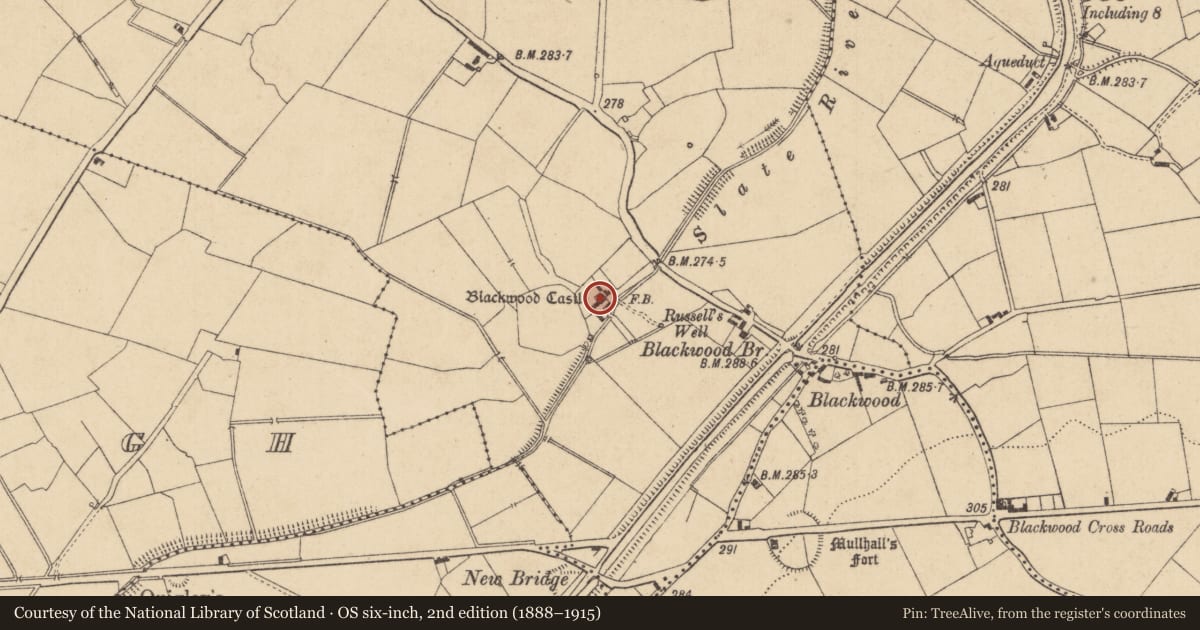 Ordnance Survey six-inch map, 2nd edition (1888–1915) covering the location of Bawn, Blackwood, County Kildare, with a pin at the register's coordinates