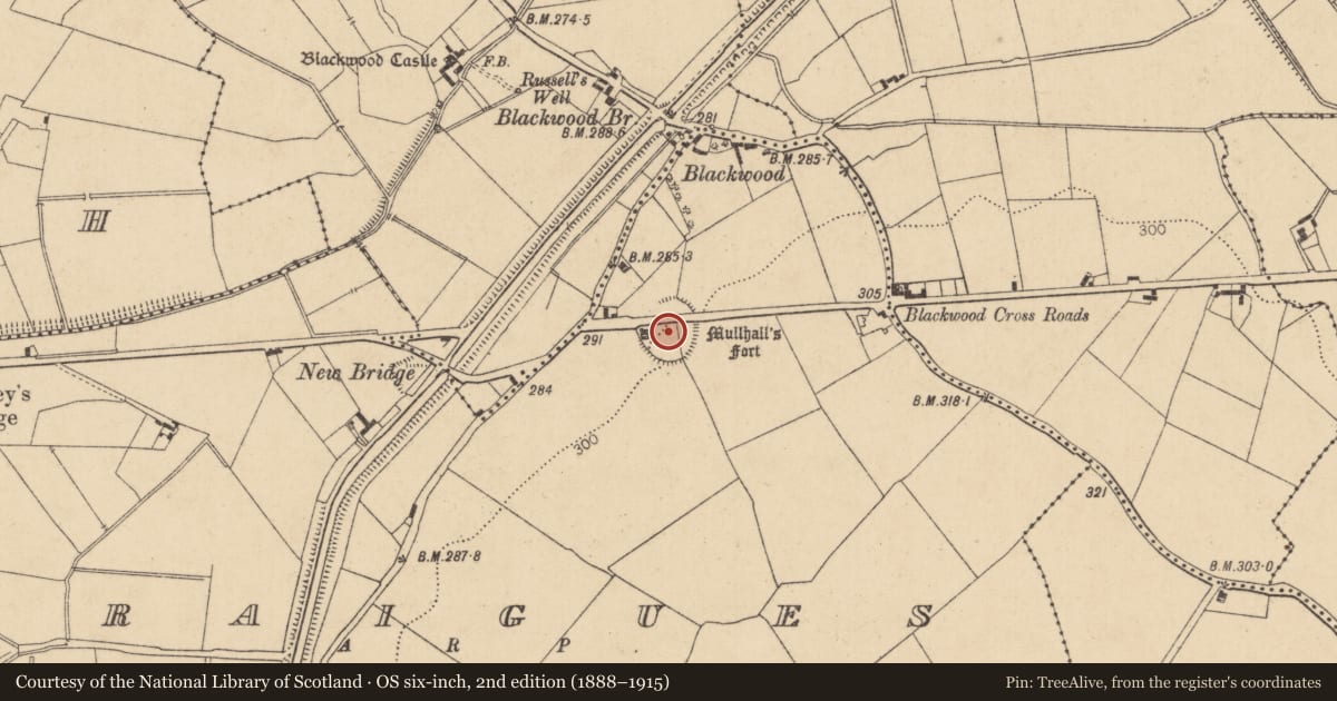 Ordnance Survey six-inch map, 2nd edition (1888–1915) covering the location of Ringfort - rath, Graigues, County Kildare, with a pin at the register's coordinates