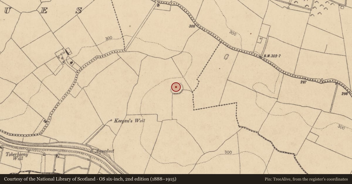 Ordnance Survey six-inch map, 2nd edition (1888–1915) covering the location of Ringfort - rath, Moods, County Kildare, with a pin at the register's coordinates