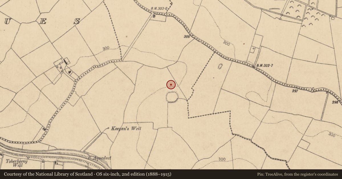 Ordnance Survey six-inch map, 2nd edition (1888–1915) covering the location of Field system, Moods, County Kildare, with a pin at the register's coordinates