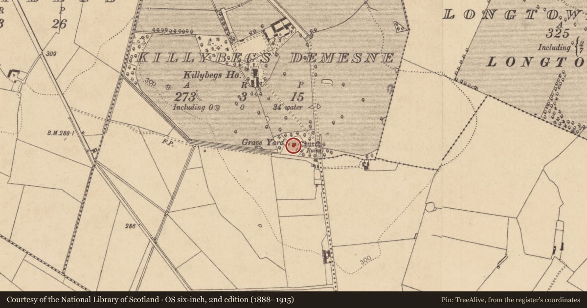 Ordnance Survey six-inch map, 2nd edition (1888–1915) covering the location of Ecclesiastical enclosure, Killybegs Demesne, County Kildare, with a pin at the register's coordinates