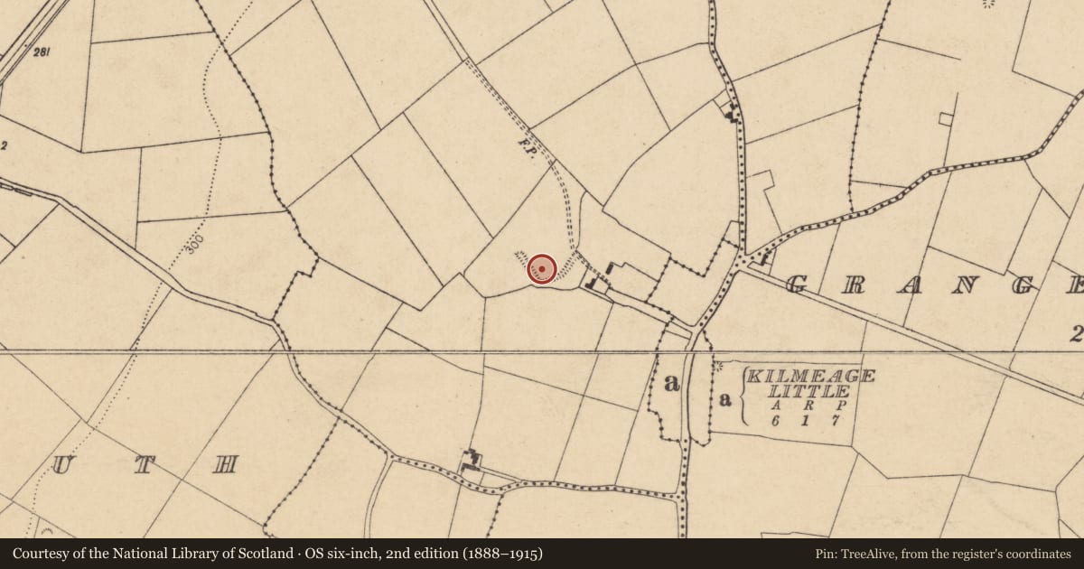 Ordnance Survey six-inch map, 2nd edition (1888–1915) covering the location of Bawn, Grangeclare West, County Kildare, with a pin at the register's coordinates