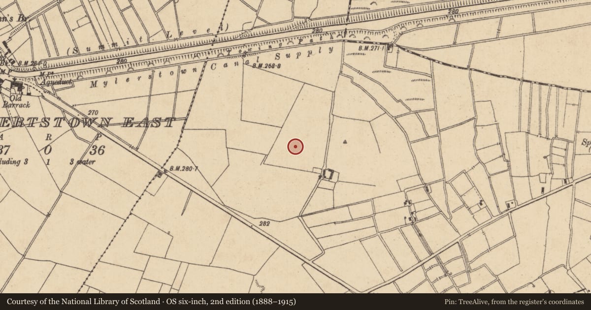 Ordnance Survey six-inch map, 2nd edition (1888–1915) covering the location of Ringfort - rath, Mylerstown, County Kildare, with a pin at the register's coordinates