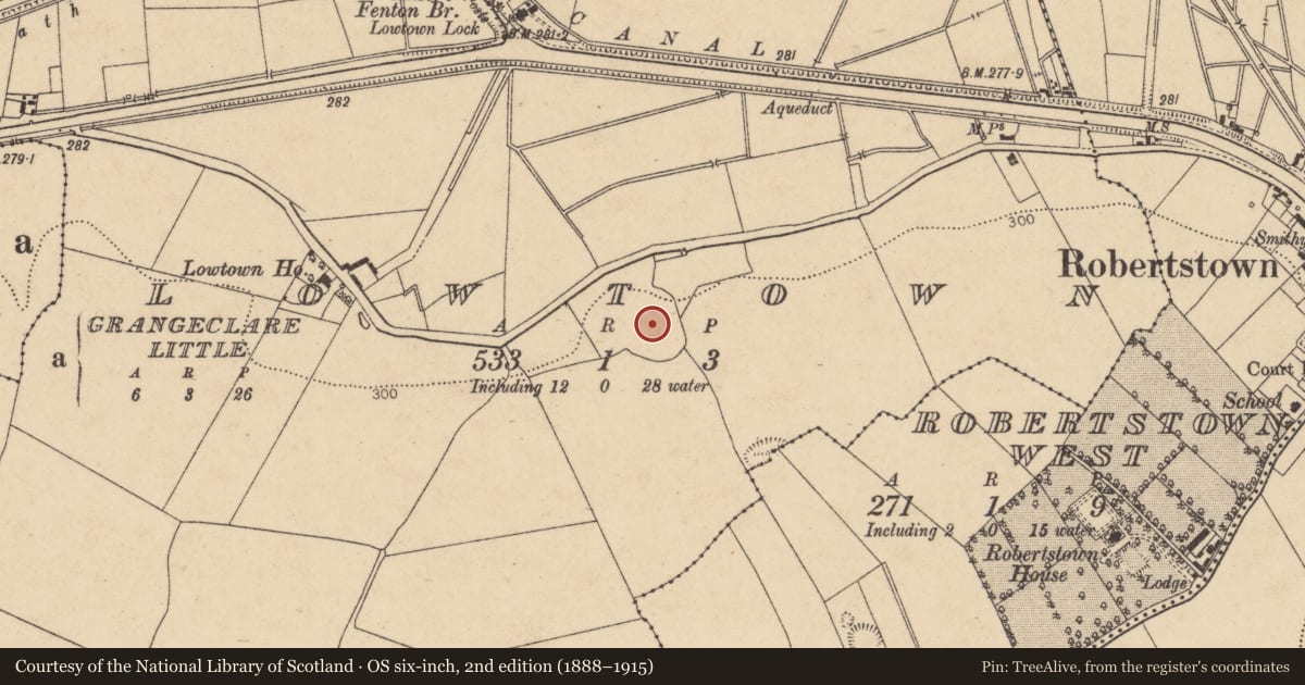 Ordnance Survey six-inch map, 2nd edition (1888–1915) covering the location of Ringfort - unclassified, Lowtown, County Kildare, with a pin at the register's coordinates
