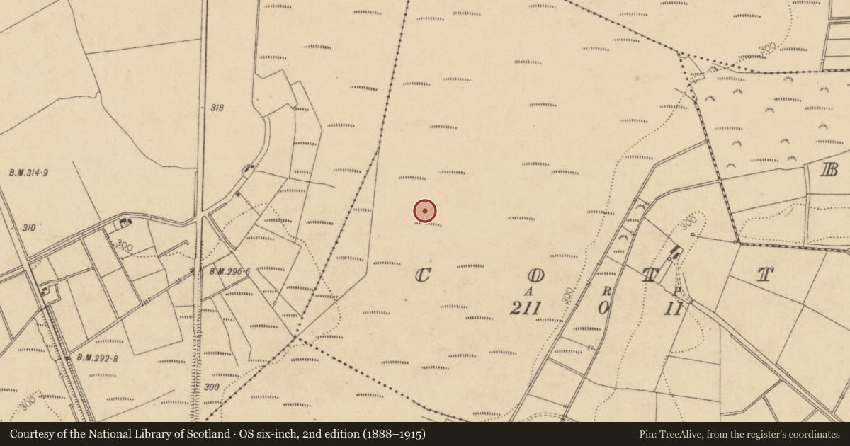Ordnance Survey six-inch map, 2nd edition (1888–1915) covering the location of Road - class 1 togher, Cott, County Kildare, with a pin at the register's coordinates