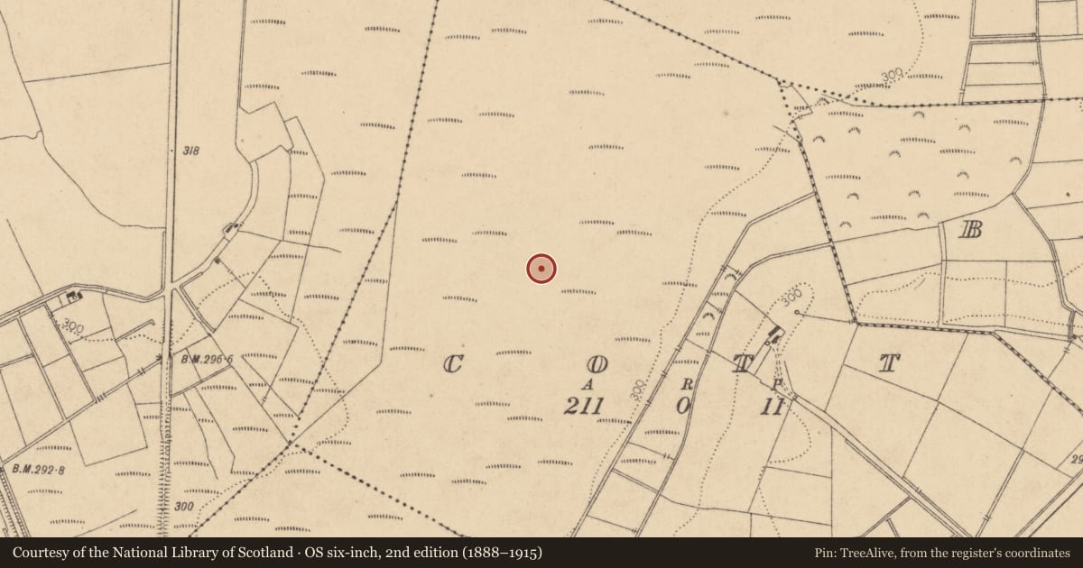 Ordnance Survey six-inch map, 2nd edition (1888–1915) covering the location of Structure - peatland, Cott, County Kildare, with a pin at the register's coordinates