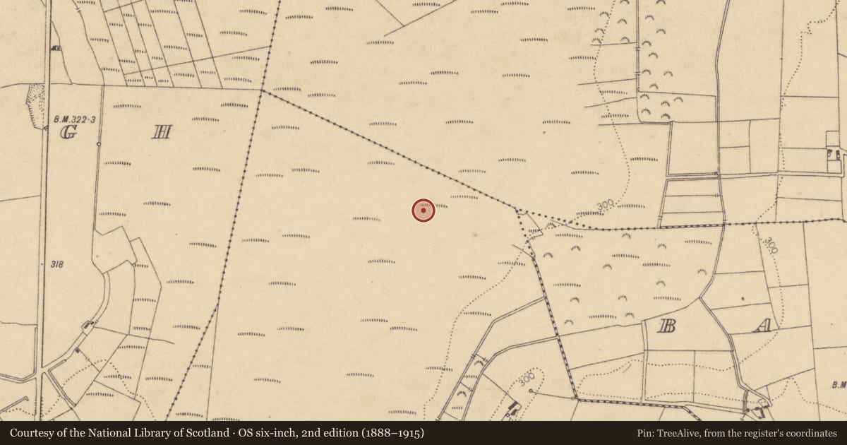 Ordnance Survey six-inch map, 2nd edition (1888–1915) covering the location of Structure - peatland, Cott, County Kildare, with a pin at the register's coordinates