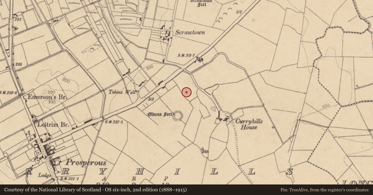 Ordnance Survey six-inch map, 2nd edition (1888–1915) covering the location of Excavation - miscellaneous, Curryhills, County Kildare, with a pin at the register's coordinates