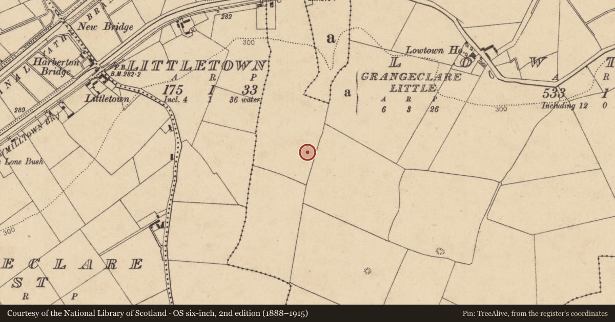 Ordnance Survey six-inch map, 2nd edition (1888–1915) covering the location of Enclosure, Lowtown, County Kildare, with a pin at the register's coordinates