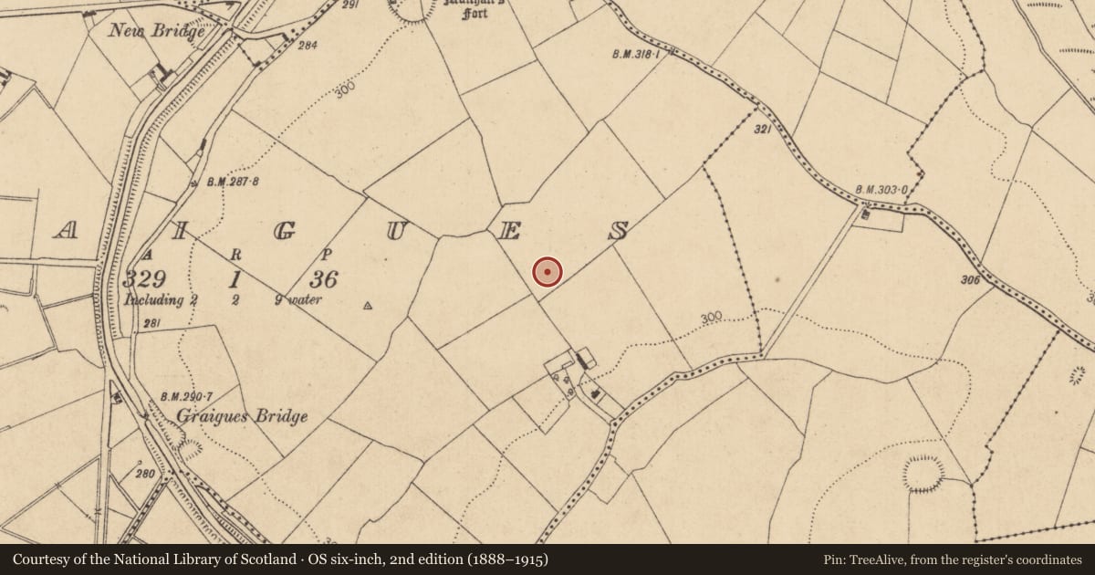 Ordnance Survey six-inch map, 2nd edition (1888–1915) covering the location of Enclosure, Graigues, County Kildare, with a pin at the register's coordinates