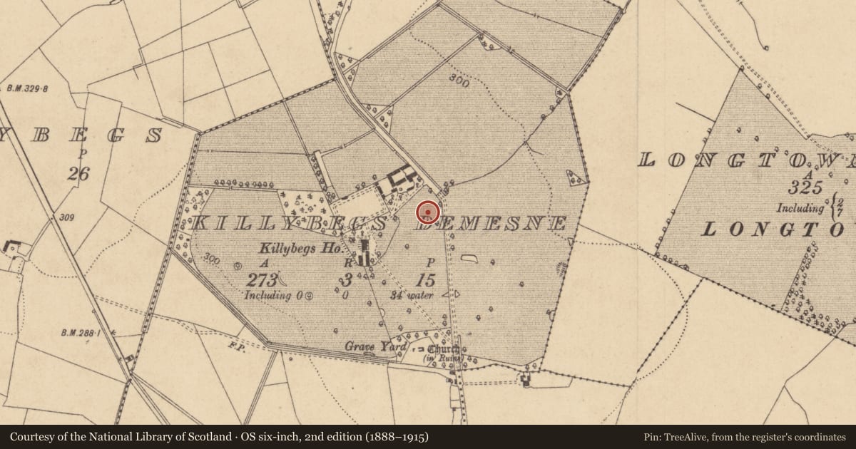 Ordnance Survey six-inch map, 2nd edition (1888–1915) covering the location of Enclosure, Killybegs Demesne, County Kildare, with a pin at the register's coordinates