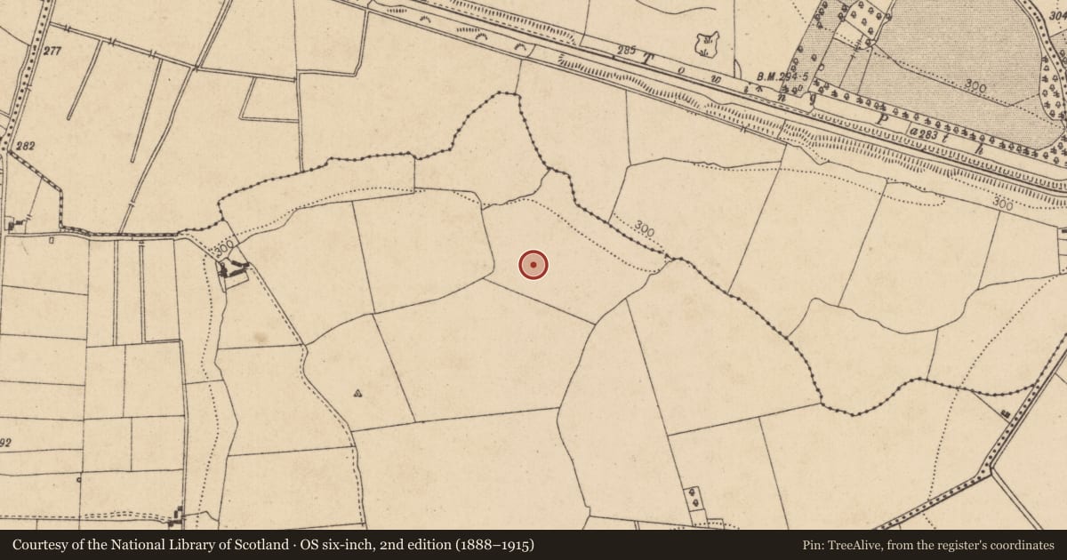 Ordnance Survey six-inch map, 2nd edition (1888–1915) covering the location of Enclosure, Newtowndonore, County Kildare, with a pin at the register's coordinates