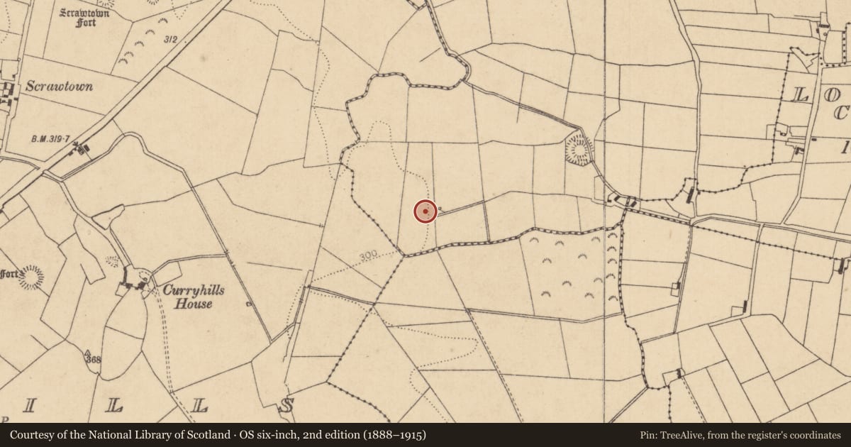 Ordnance Survey six-inch map, 2nd edition (1888–1915) covering the location of Enclosure, Loughanure Commons, County Kildare, with a pin at the register's coordinates