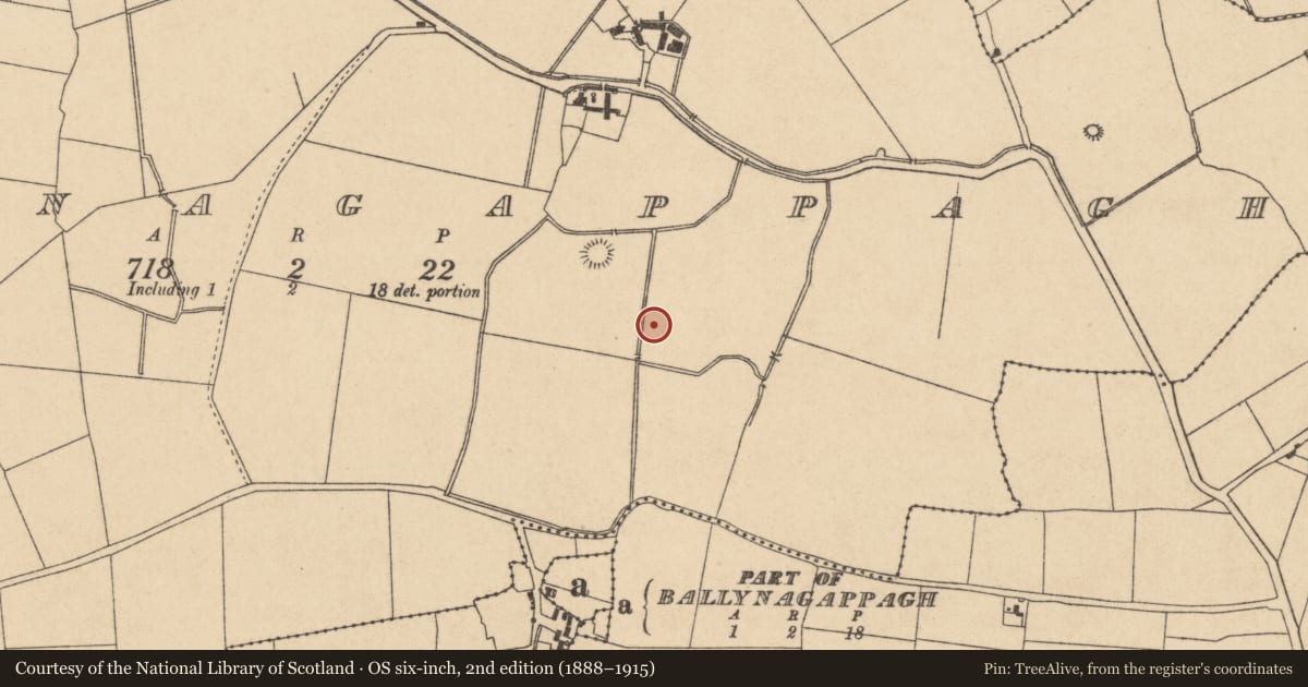 Ordnance Survey six-inch map, 2nd edition (1888–1915) covering the location of Enclosure, Ballynagappagh, County Kildare, with a pin at the register's coordinates