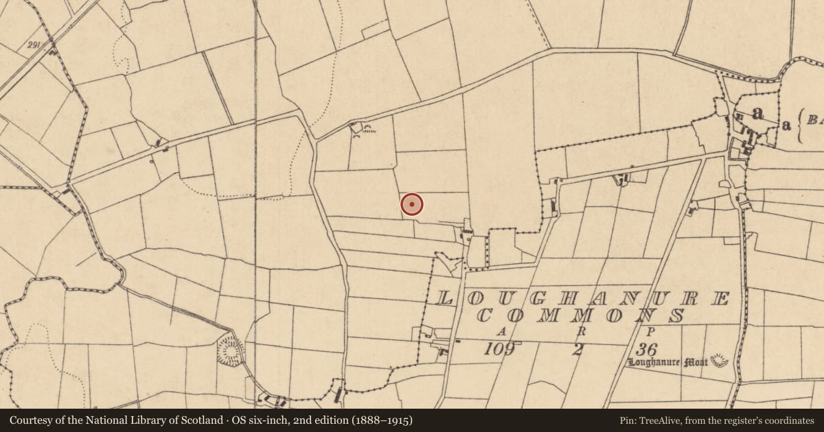 Ordnance Survey six-inch map, 2nd edition (1888–1915) covering the location of Earthwork, Ballynagappagh, County Kildare, with a pin at the register's coordinates