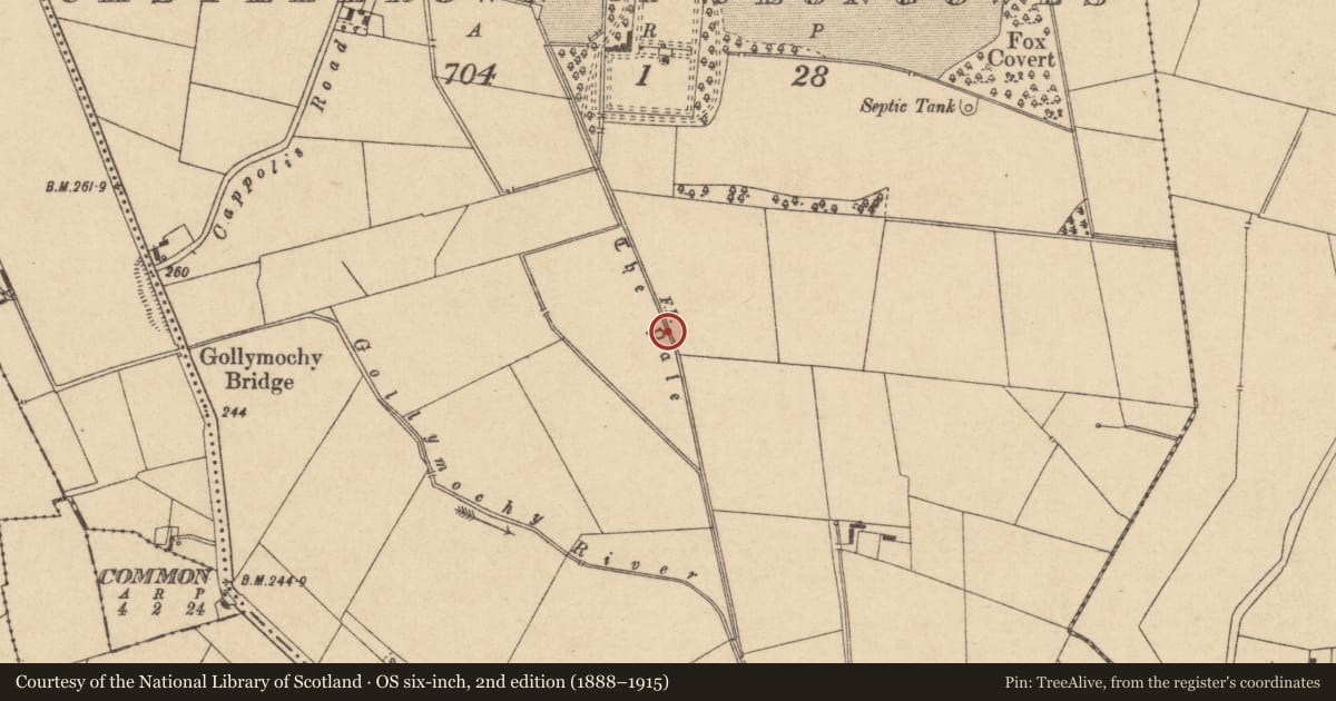 Ordnance Survey six-inch map, 2nd edition (1888–1915) covering the location of Linear earthwork, Castlebrown Or Clongowes, County Kildare, with a pin at the register's coordinates