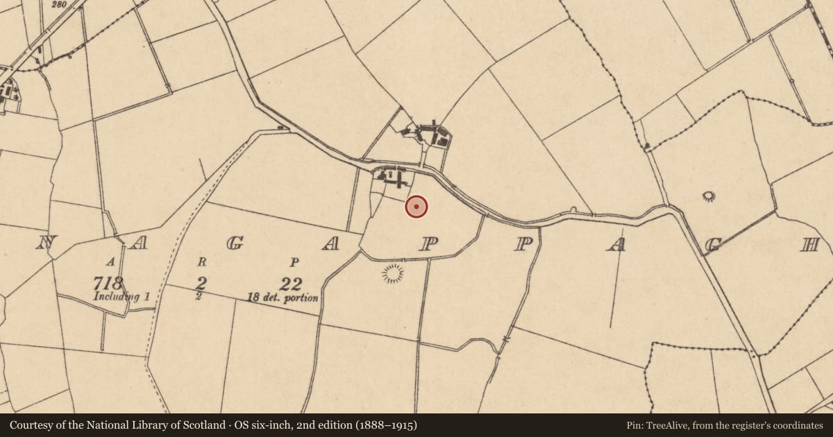 Ordnance Survey six-inch map, 2nd edition (1888–1915) covering the location of Enclosure, Ballynagappagh, County Kildare, with a pin at the register's coordinates