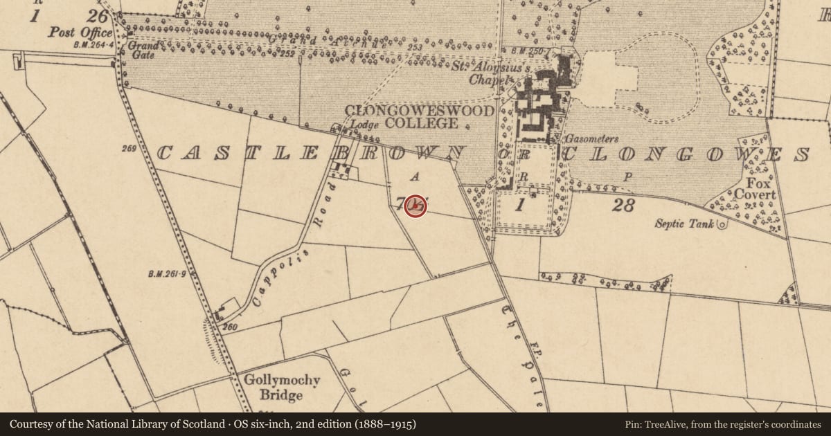 Ordnance Survey six-inch map, 2nd edition (1888–1915) covering the location of Enclosure, Castlebrown Or Clongowes, County Kildare, with a pin at the register's coordinates