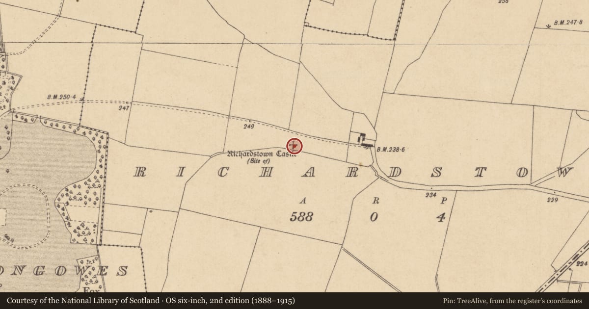 Ordnance Survey six-inch map, 2nd edition (1888–1915) covering the location of Castle - tower house, Richardstown, County Kildare, with a pin at the register's coordinates