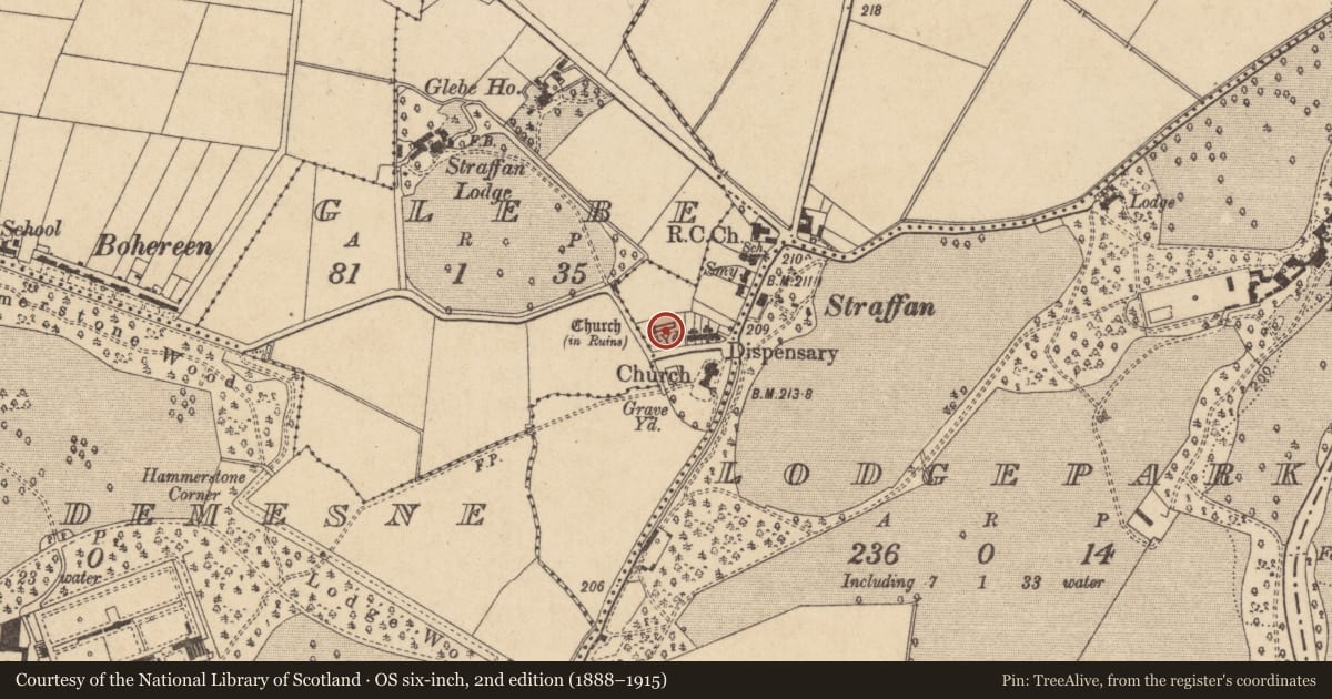 Ordnance Survey six-inch map, 2nd edition (1888–1915) covering the location of Church, Straffan, County Kildare, with a pin at the register's coordinates