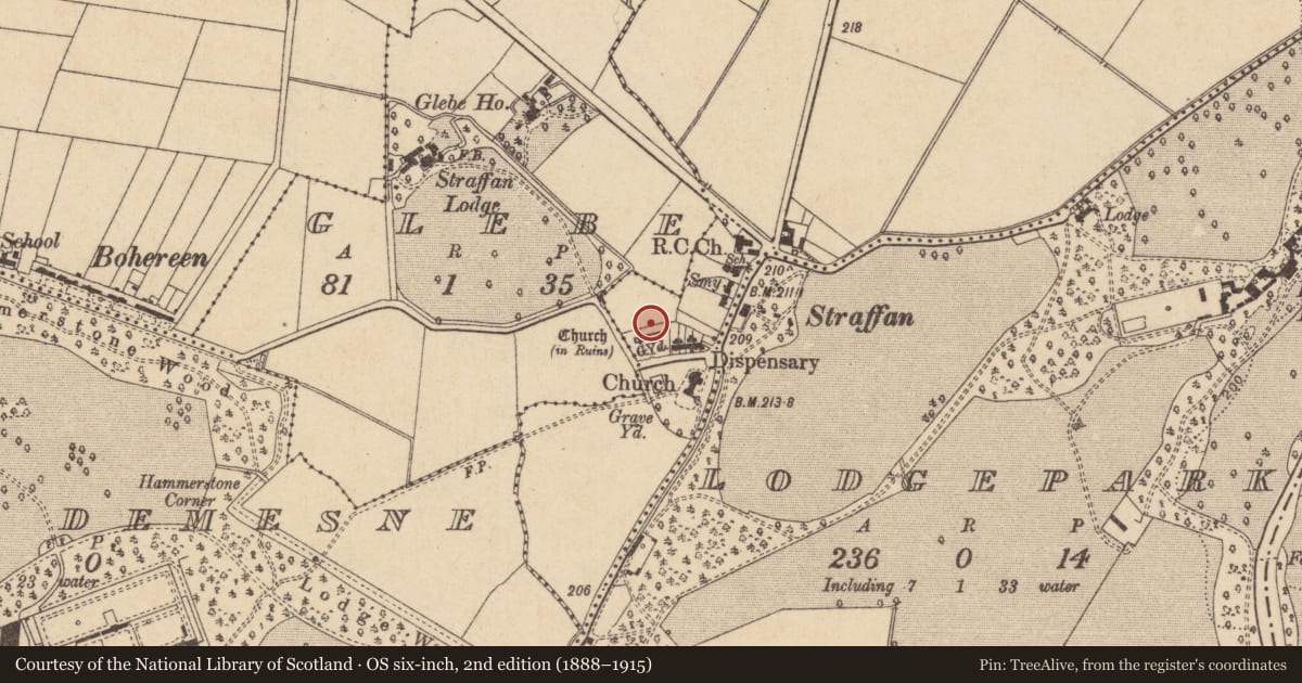 Ordnance Survey six-inch map, 2nd edition (1888–1915) covering the location of Graveyard, Straffan, County Kildare, with a pin at the register's coordinates