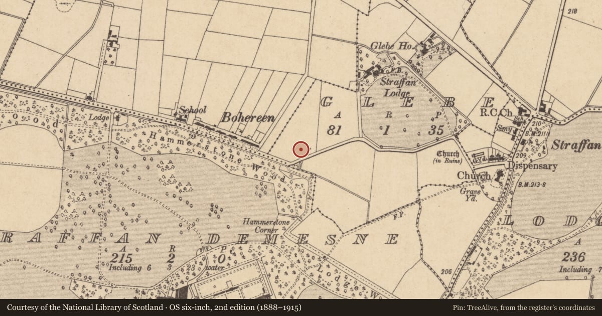 Ordnance Survey six-inch map, 2nd edition (1888–1915) covering the location of Ringfort - rath, Glebe, County Kildare, with a pin at the register's coordinates