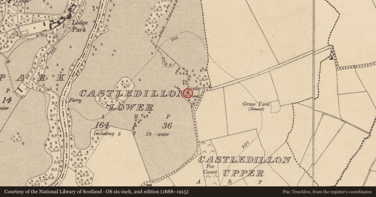 Ordnance Survey six-inch map, 2nd edition (1888–1915) covering the location of Castle - unclassified, Castledillon Lower, County Kildare, with a pin at the register's coordinates