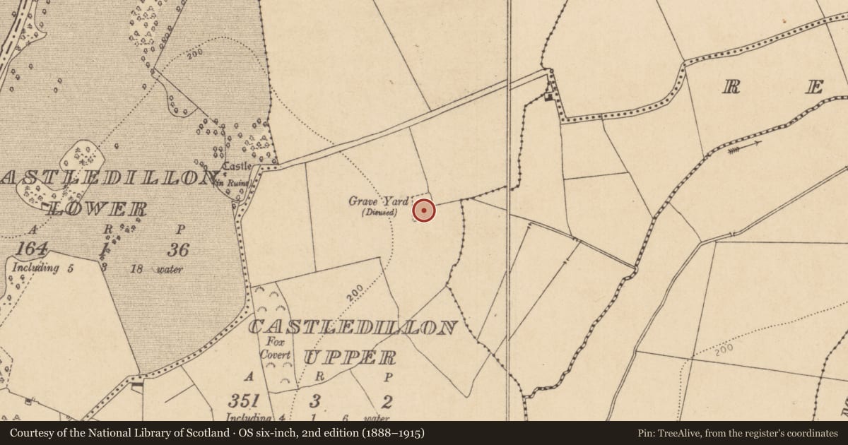 Ordnance Survey six-inch map, 2nd edition (1888–1915) covering the location of Ecclesiastical enclosure, Castledillon Upper, County Kildare, with a pin at the register's coordinates