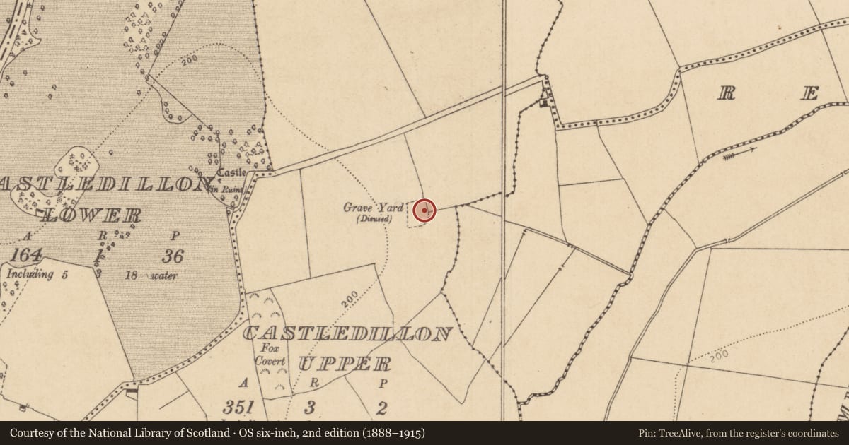 Ordnance Survey six-inch map, 2nd edition (1888–1915) covering the location of Children's burial ground, Castledillon Upper, County Kildare, with a pin at the register's coordinates