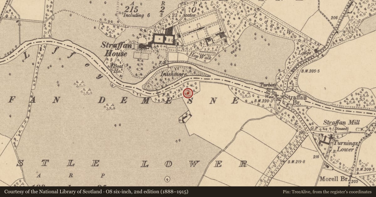 Ordnance Survey six-inch map, 2nd edition (1888–1915) covering the location of Castle - motte and bailey, Ladycastle Lower, County Kildare, with a pin at the register's coordinates