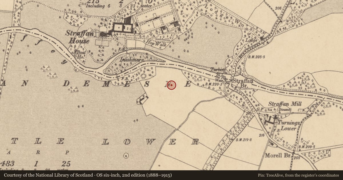 Ordnance Survey six-inch map, 2nd edition (1888–1915) covering the location of Kiln - lime, Ladycastle Lower, County Kildare, with a pin at the register's coordinates