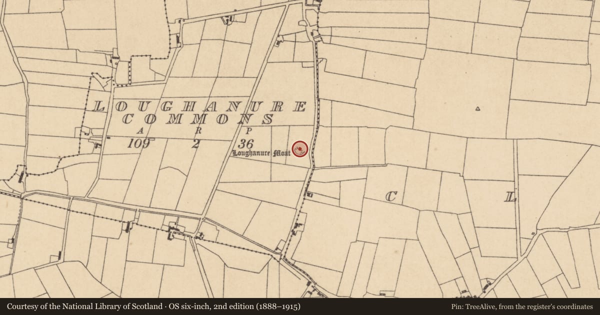 Ordnance Survey six-inch map, 2nd edition (1888–1915) covering the location of Enclosure, Loughanure Commons, County Kildare, with a pin at the register's coordinates