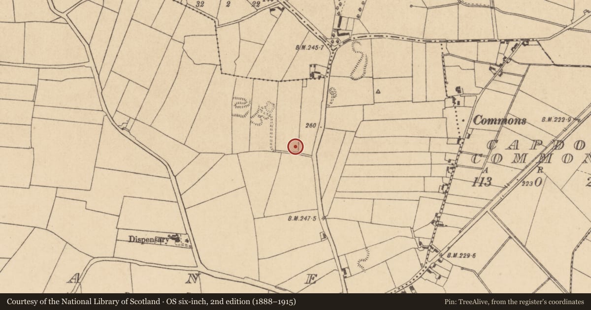Ordnance Survey six-inch map, 2nd edition (1888–1915) covering the location of Burial, Clane, County Kildare, with a pin at the register's coordinates